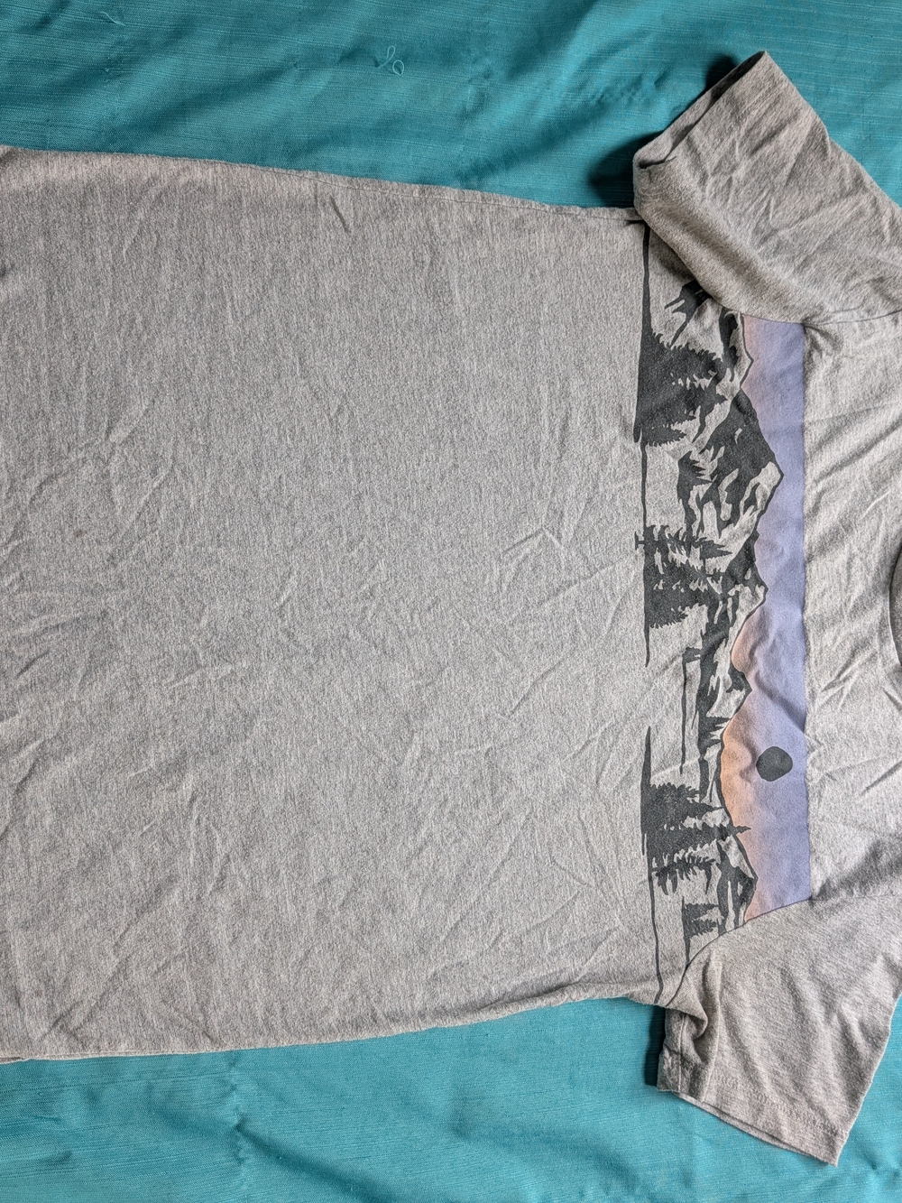 Old Navy Gray Short Sleeve Tee with Mountain Sunset Panel